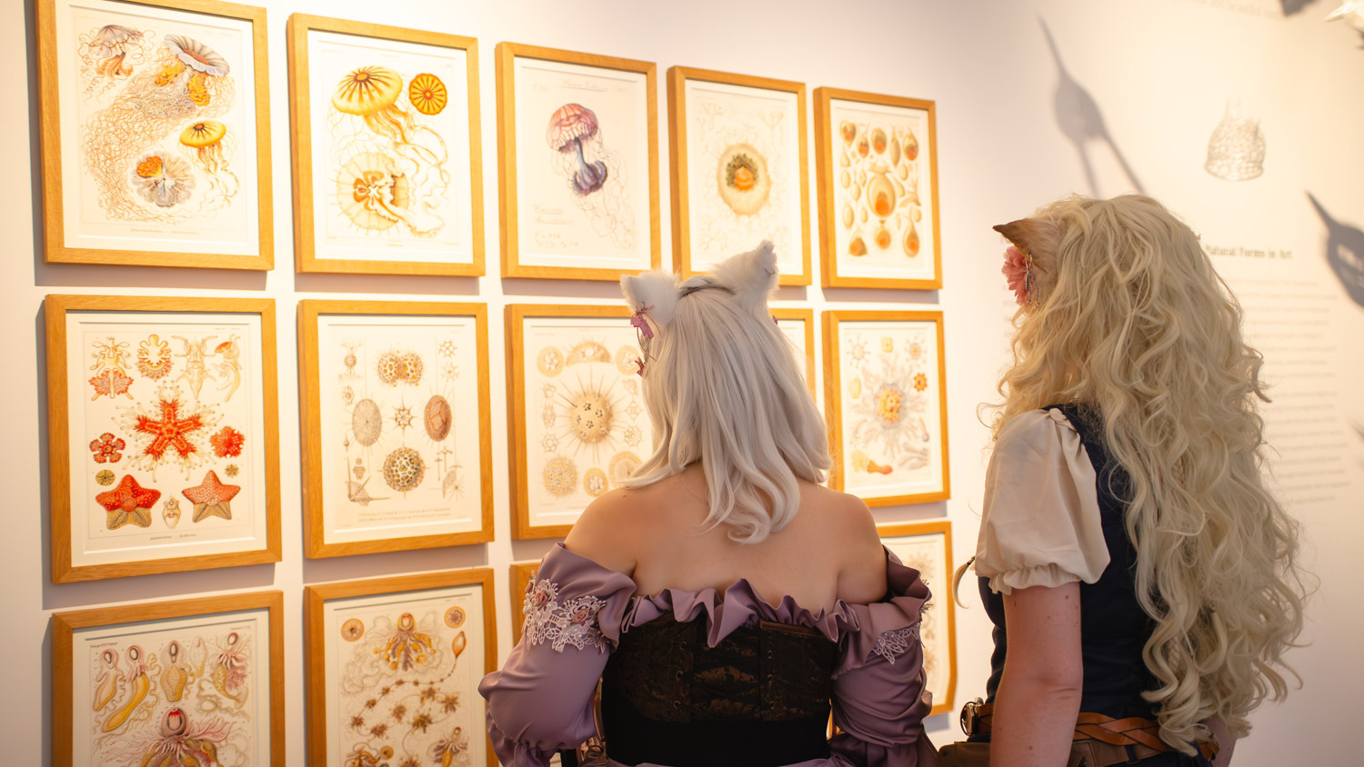 Kunst, Natur und mehr: Museum Wiesbaden lädt Connichi-Besucher*innen ein